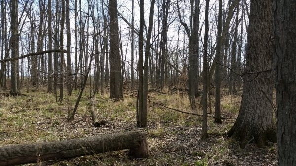 20150425_164324.jpg