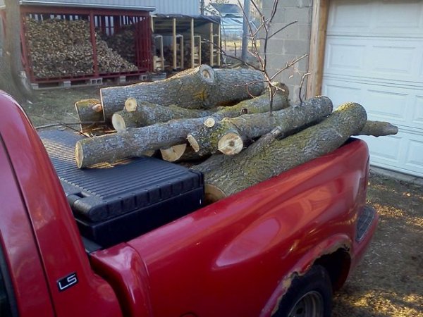 s10 truck.jpg