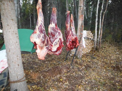 DSCF1520.JPG