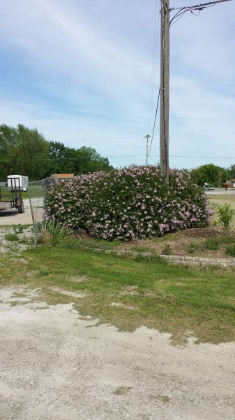 20150513_162455.jpg