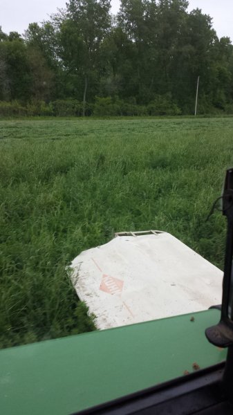 20150519_192434.jpg