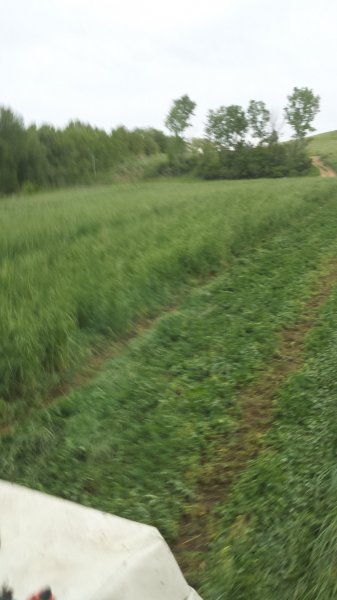 20150519_192438.jpg