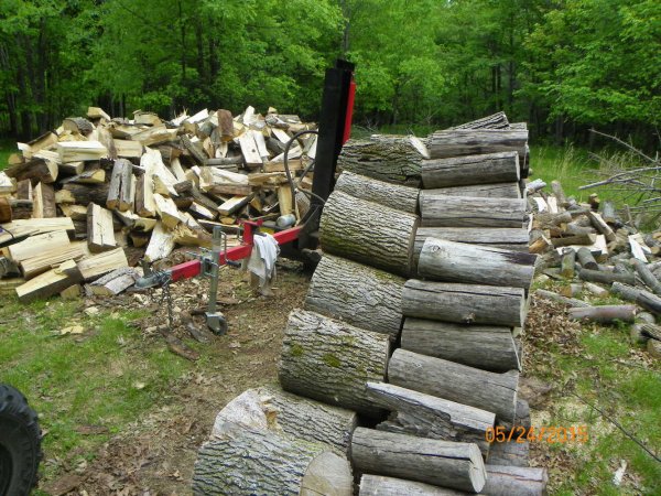 Split pile 2015-b.JPG