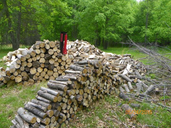 Split pile 2015-c.JPG