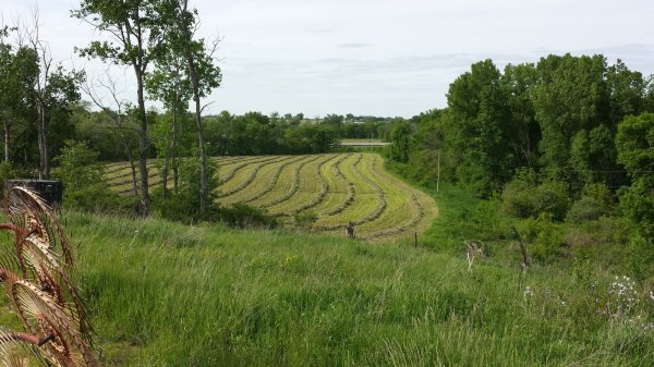 20150523_165223.jpg