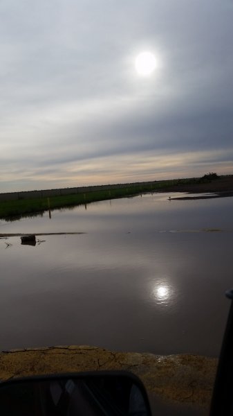 20150525_081724.jpg