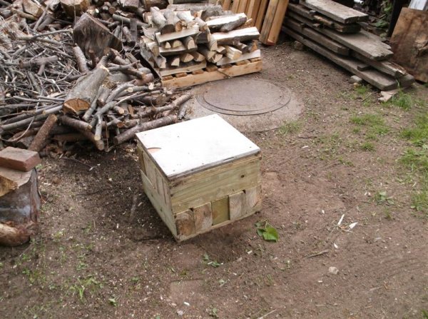 DSCF1151 (Medium).JPG