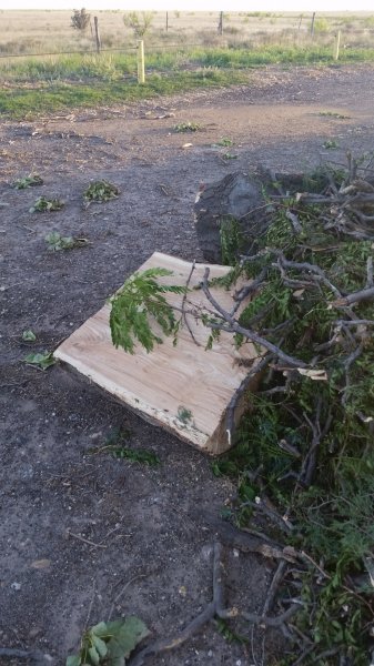 20150525_201625.jpg