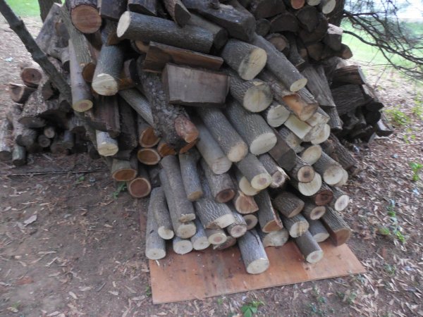firewood score 1.JPG