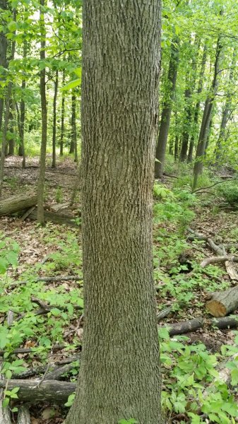 20150524_103724.jpg