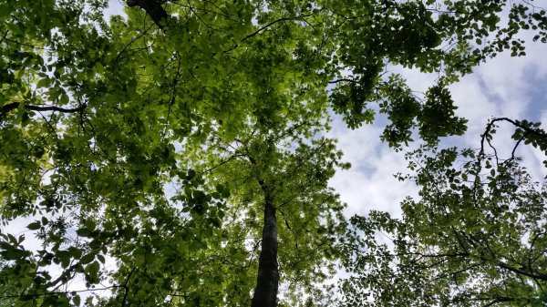 20150524_103718.jpg
