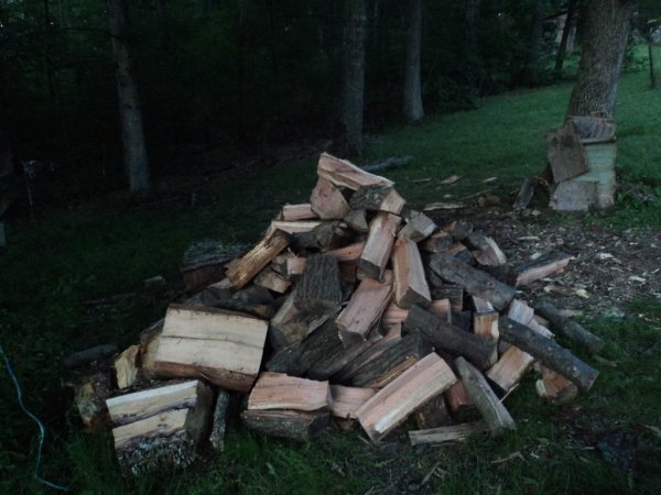 DSC05744 (1024x768).jpg