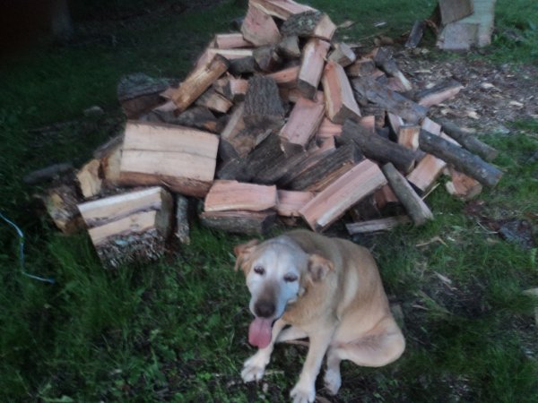 DSC05747 (1024x768).jpg