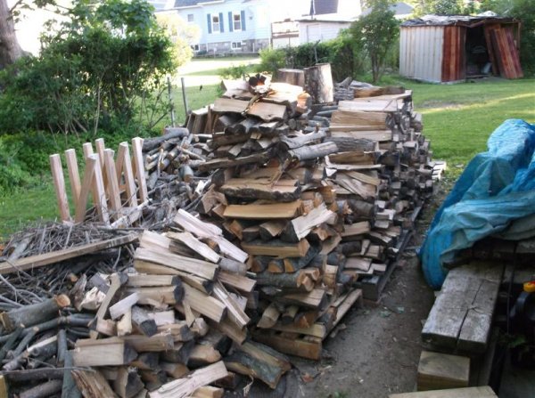 DSCF1162 (Medium).JPG