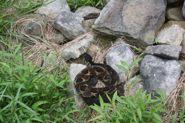 Trip to Jay s 039.jpg