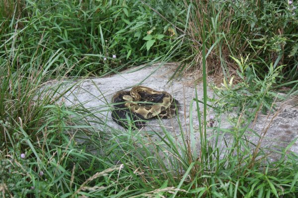 Trip to Jay s 030.jpg