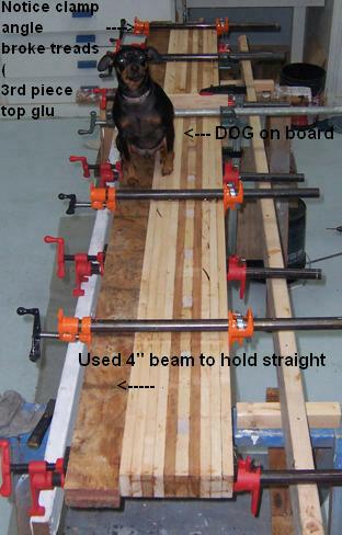 glu 3 dog.JPG