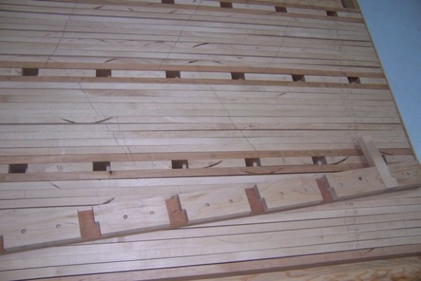dog board.JPG