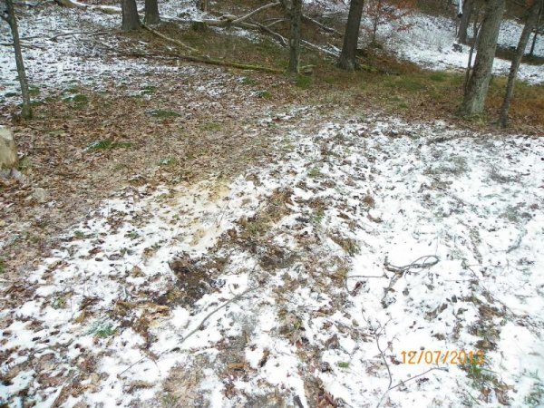 100_8280.JPG