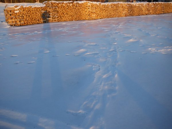 DSCF2123.JPG
