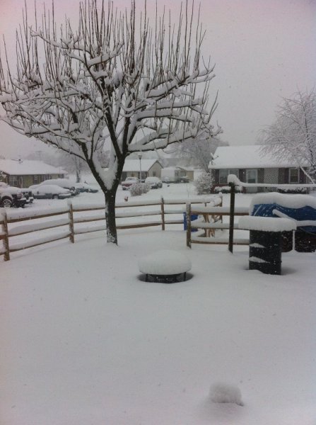 snowstorm.jpg