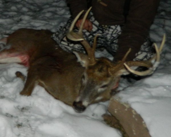 decbuck2.jpg