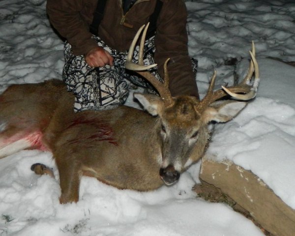 decbuck.jpg