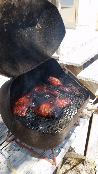 20150618_120239.jpg