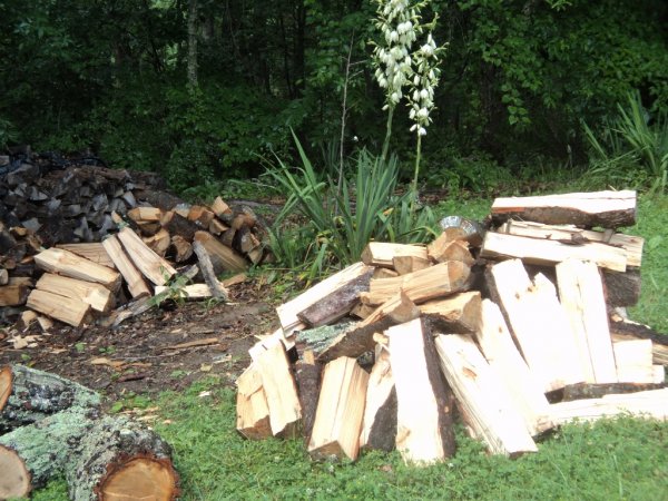 DSC05810 (1024x768).jpg