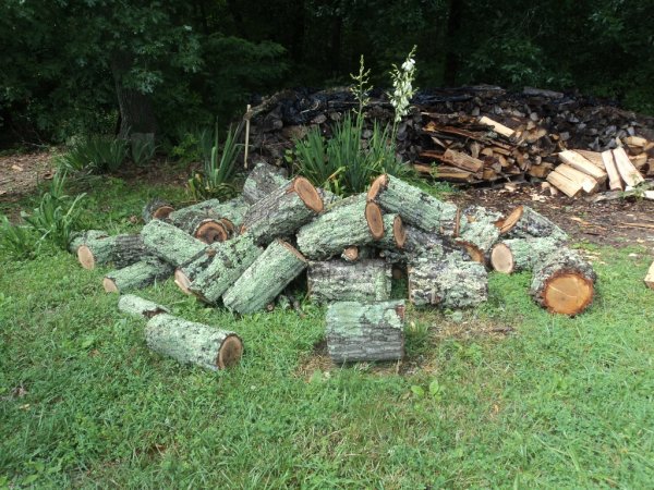 DSC05809 (1024x768).jpg