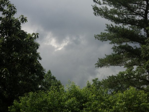 DSC05813 (1024x768).jpg