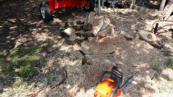 20150702_123530.jpg