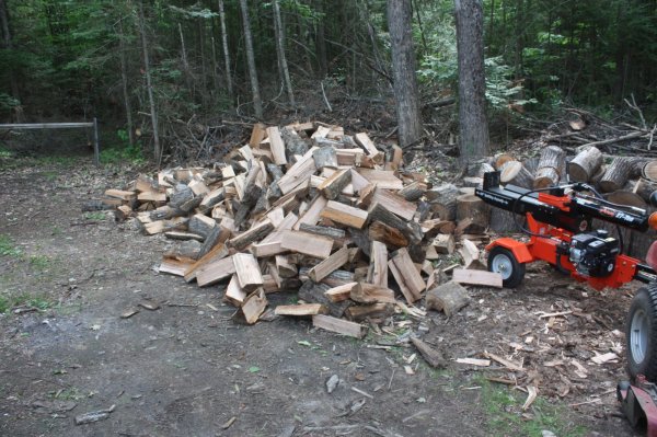 July 2015 Splitting 2015-07-09 002.JPG