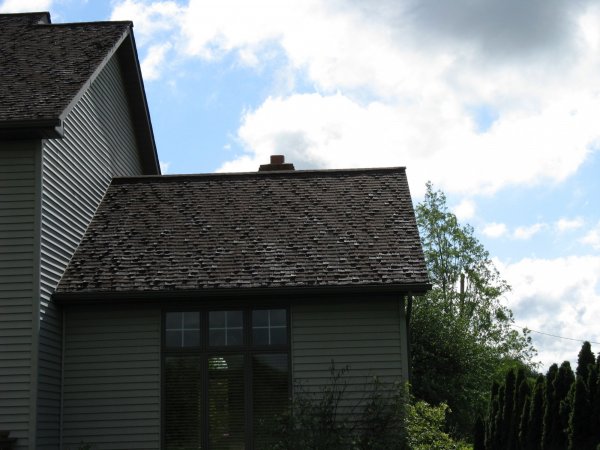 CAMERA 074.jpg