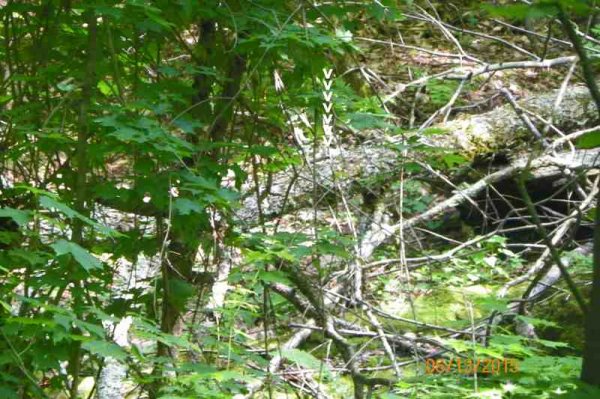 100_8917.JPG