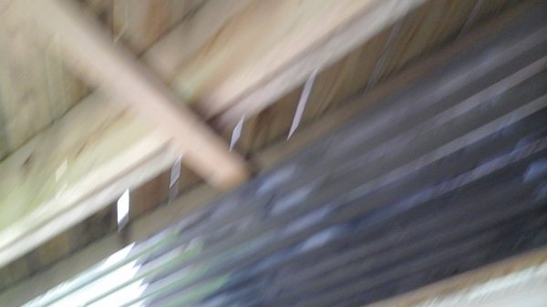 20150711_141716.jpg