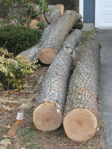 1 2 15 logs 021.JPG