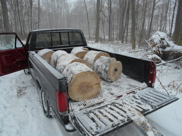 Jan. cutting 010.jpg