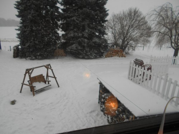 winter cherry 004.jpg