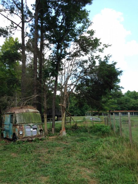 Getting More Sun.JPG