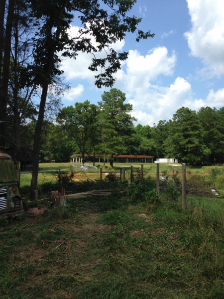 Should Have Known it would fall on the fence.JPG