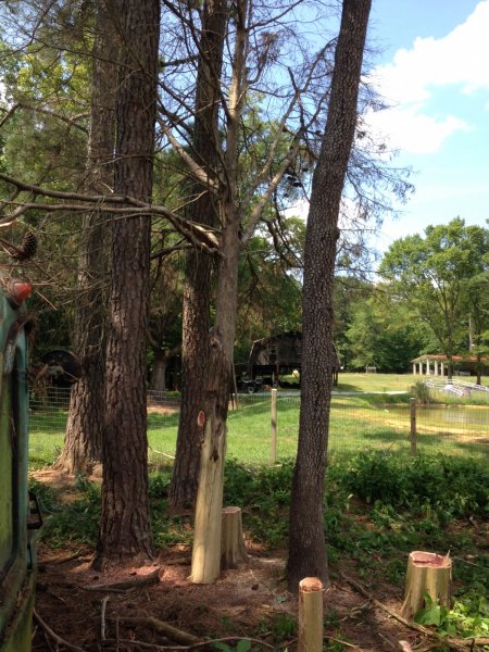 Predicted Widowmaker.JPG