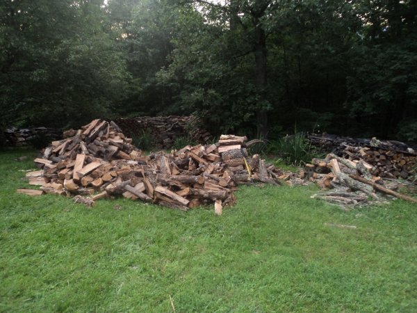 DSC05846 (1024x768).jpg