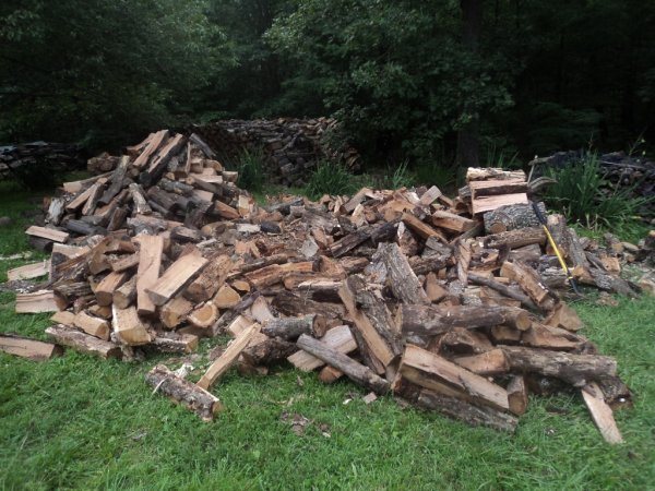 DSC05847 (1024x768).jpg