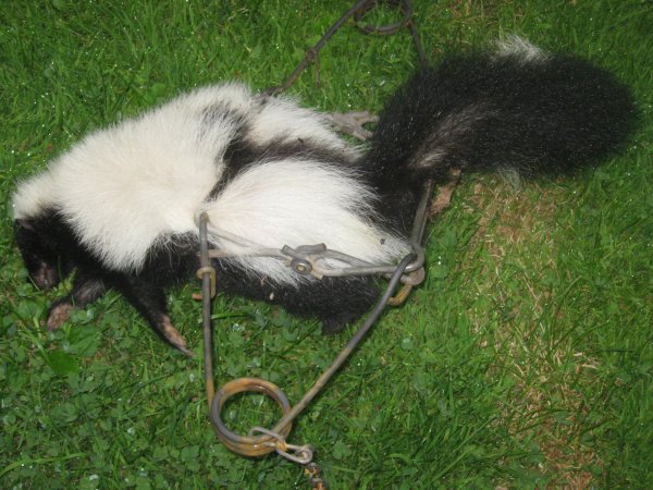 winter 2014 15 and 70th b day 089.JPG