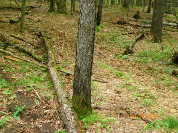 100_9010.JPG