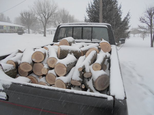 winter cherry 002.jpg