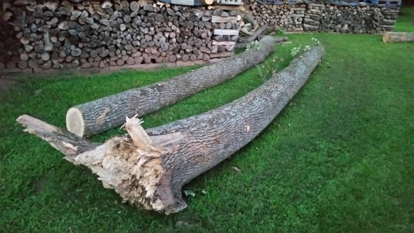 20150724_204731.jpg