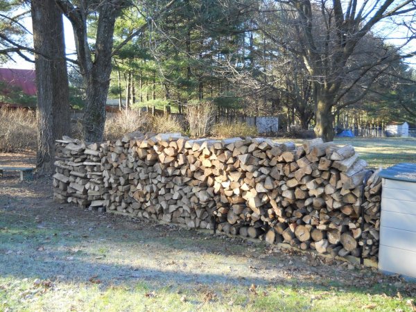 WOODPILE.JPG
