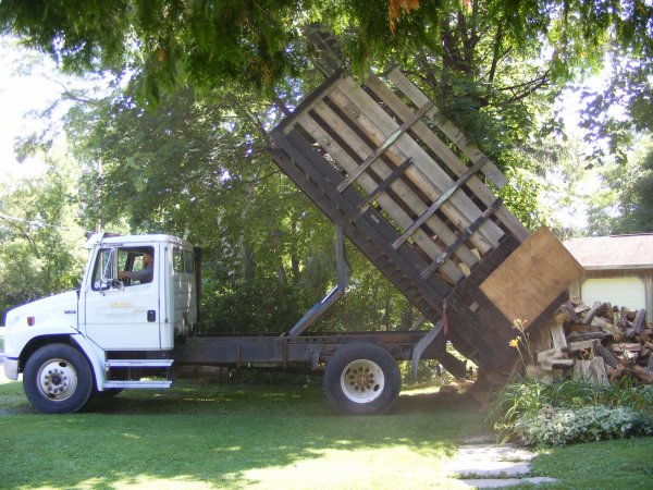 Dropping firewood.jpg